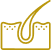 men leaf's icon
